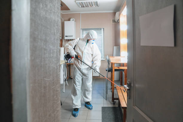 Best Mold Documentation for Insurance Claims  in Buellton, CA