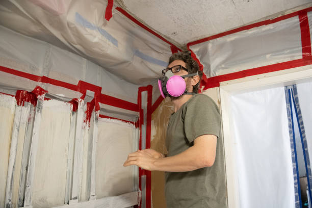 Best Environmental Consulting for Mold Prevention  in Buellton, CA