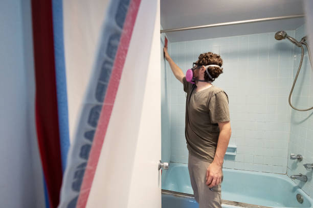 Best Mold Removal for HVAC Installations  in Buellton, CA