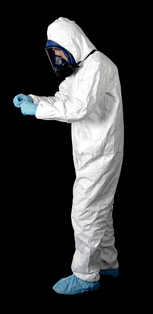 Asbestos and Lead Testing During Mold Inspection in Buellton, CA