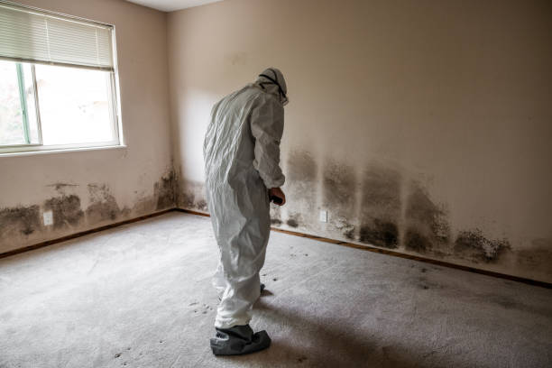 Best Airborne Mold Testing  in Buellton, CA