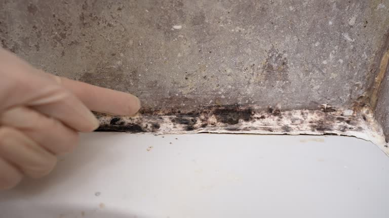 Best Dehumidification Services  in Buellton, CA